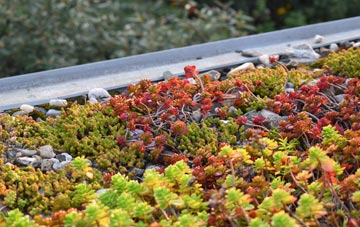 the cost of Belgrave green roof installation