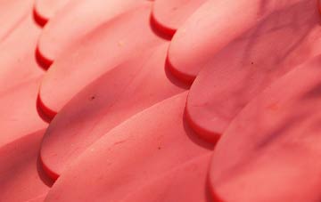 Belgrave plastic roof costs